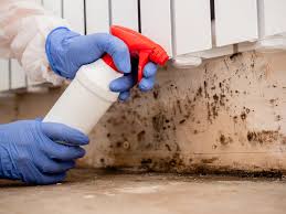 Reliable Eldora, IA Mold Inspection Solutions